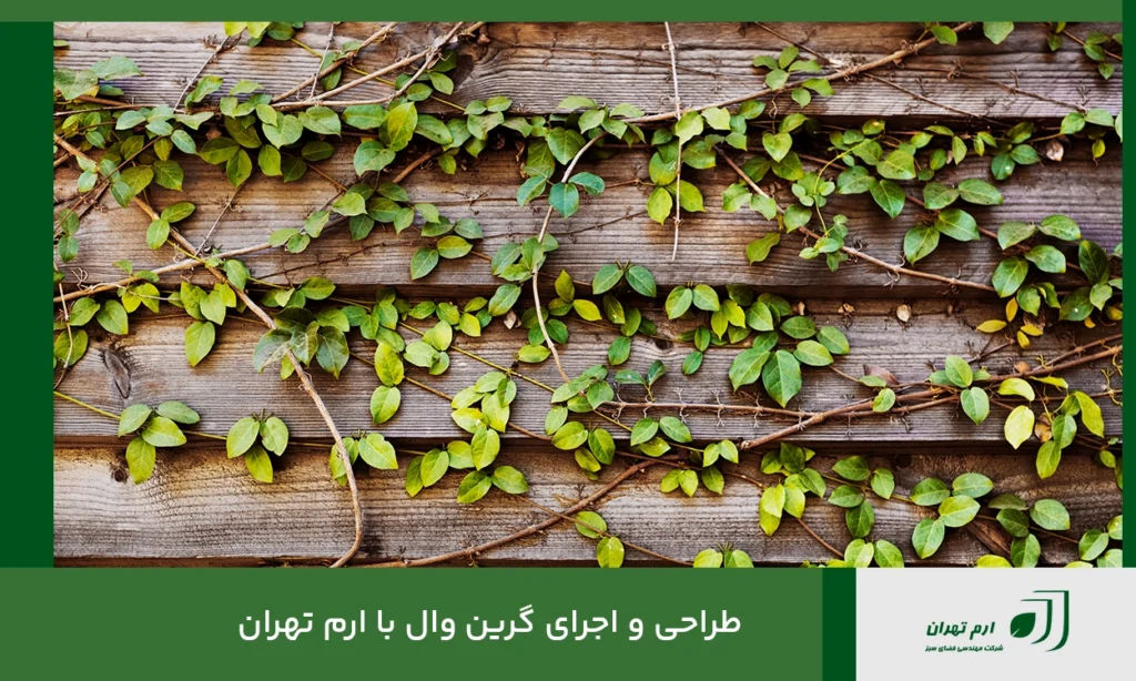 طراحی و اجرای گرین وال با ارم تهران