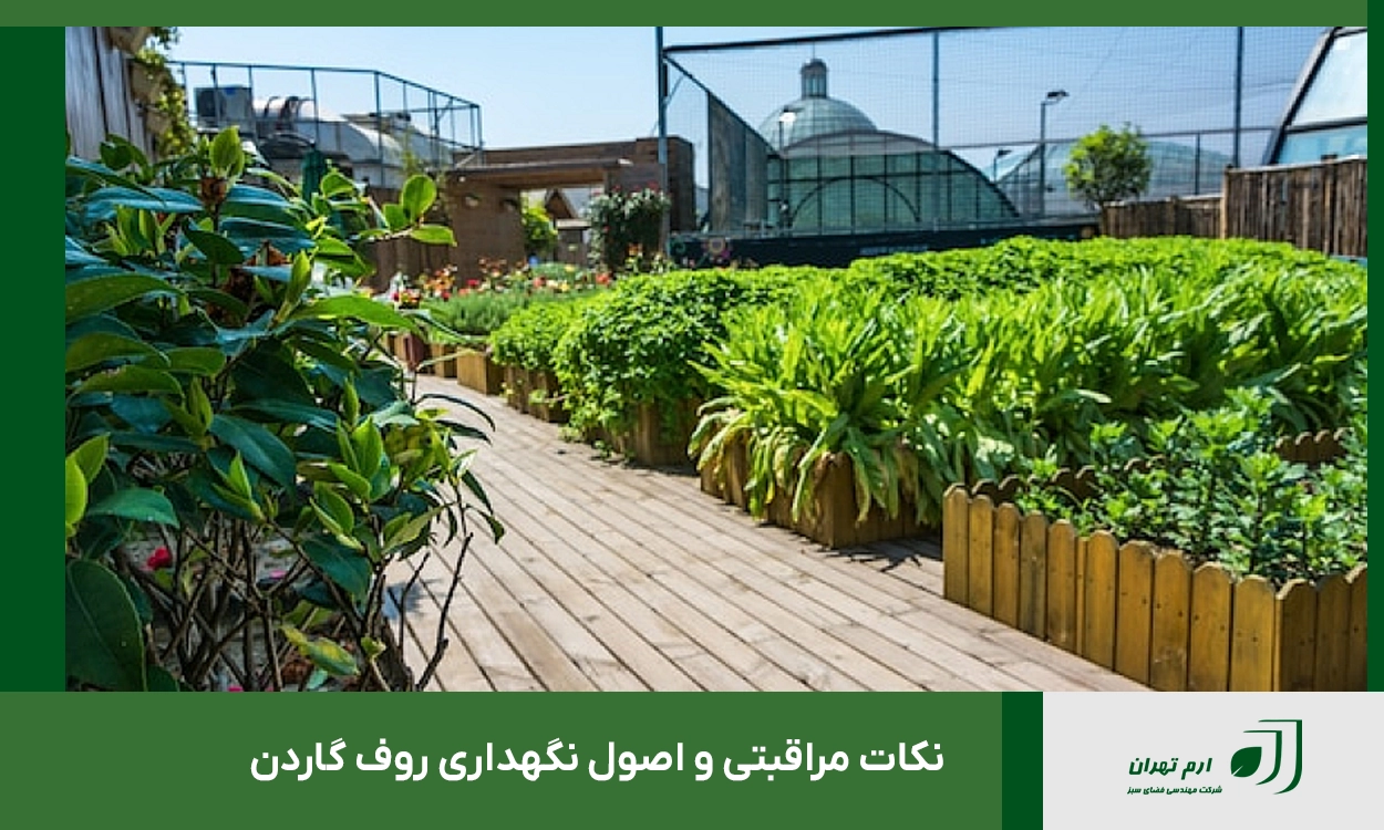نکات مراقبتی و اصول نگهداری روف گاردن