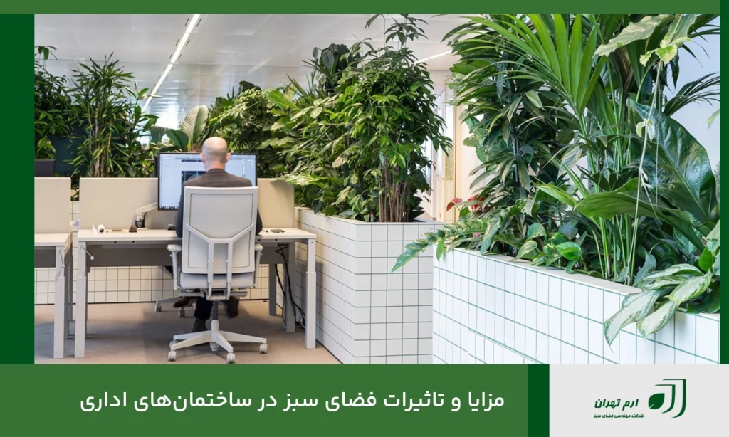 مزایا و تاثیرات فضای سبز در ساختمان‌های اداری