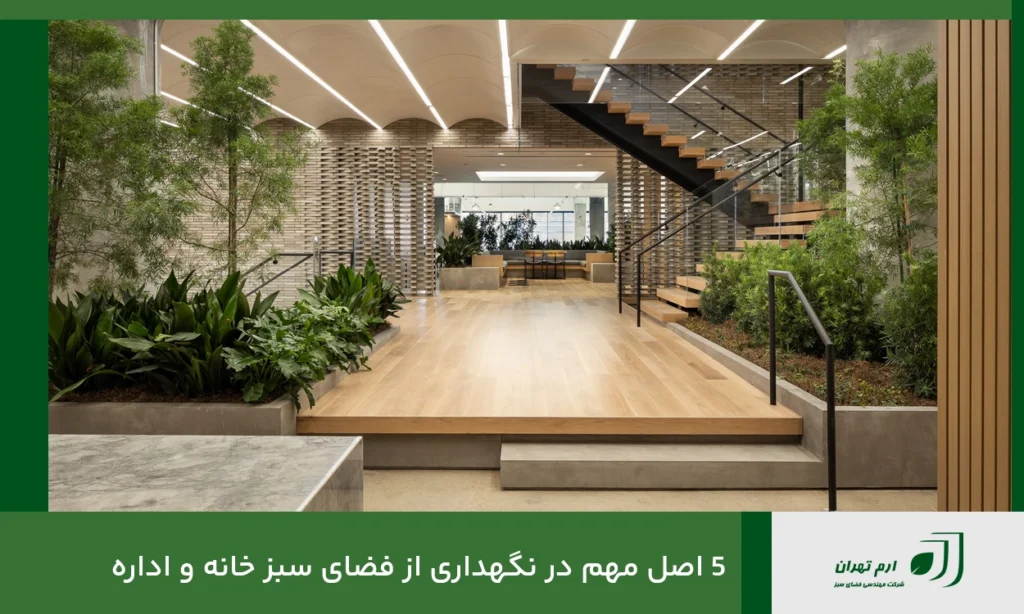  5 اصل مهم در نگهداری از فضای سبز خانه و اداره