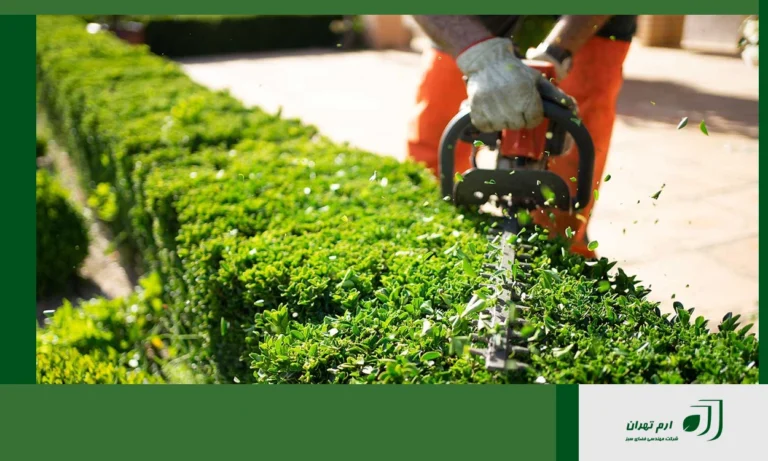 نحوه هرس گیاهان فضای سبز و مهمترین نکات آن 