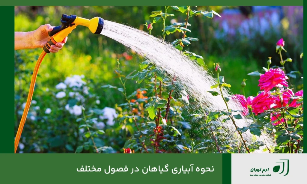 نحوه آبیاری گیاهان در فصول مختلف