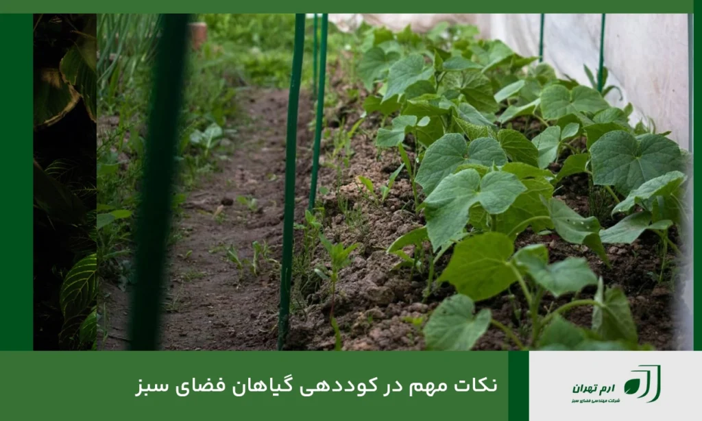 نکات مهم در کوددهی گیاهان فضای سبز