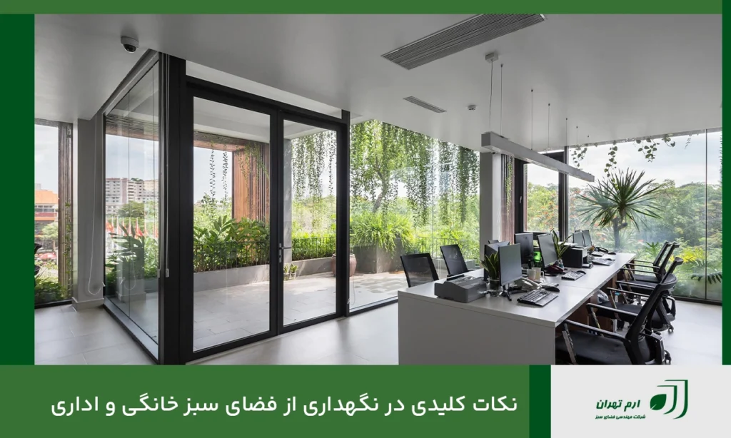 نکات کلیدی در نگهداری از فضای سبز خانگی و اداری