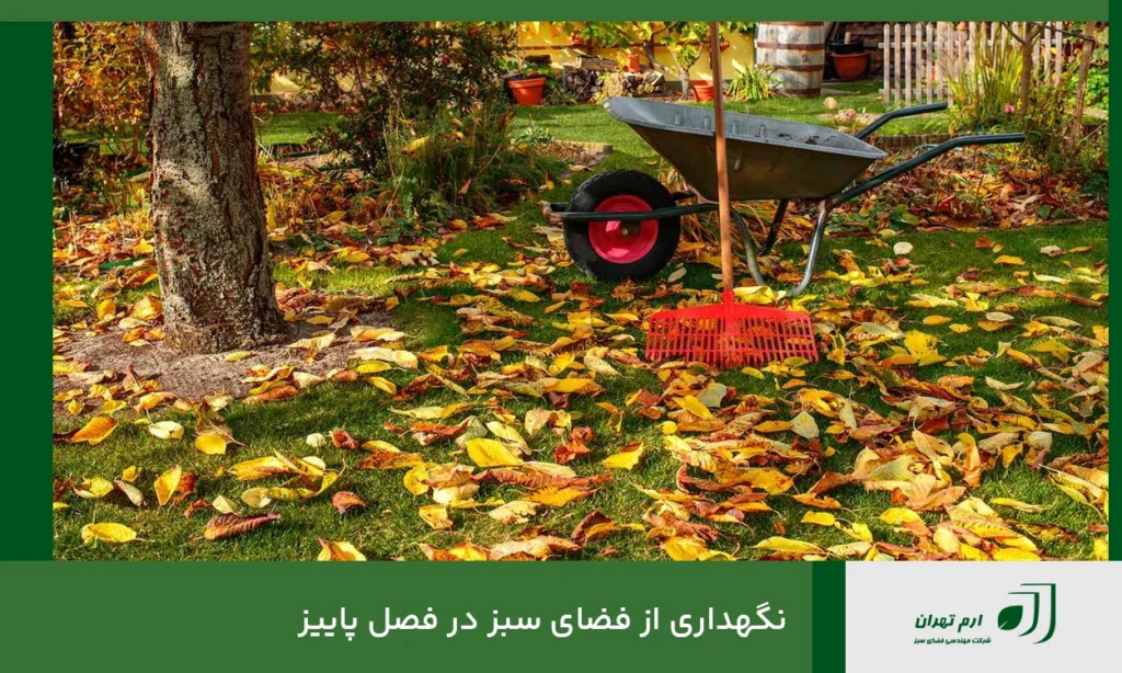 نگهداری از فضای سبز در فصل پاییز