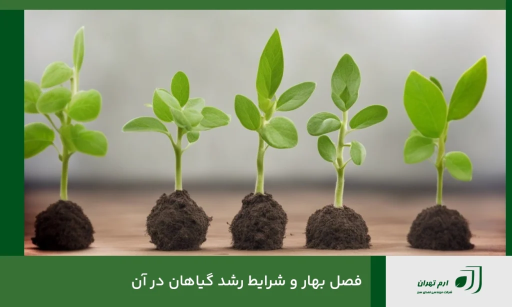 فصل بهار و شرایط رشد گیاهان در آن
