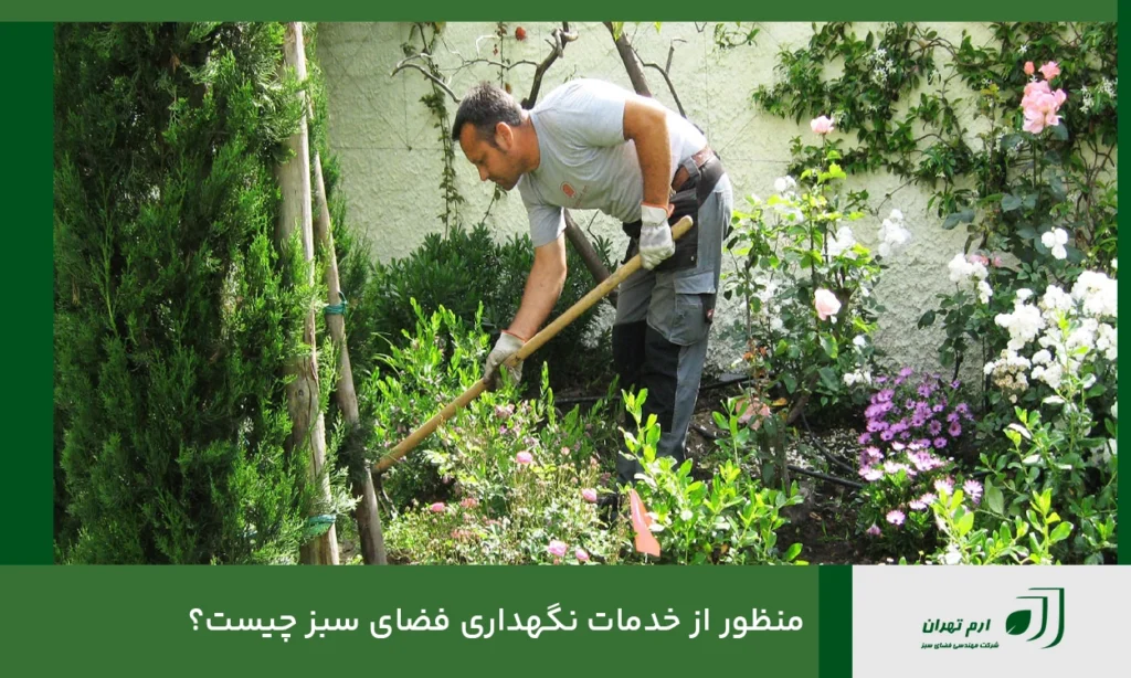 منظور از خدمات نگهداری فضای سبز چیست؟