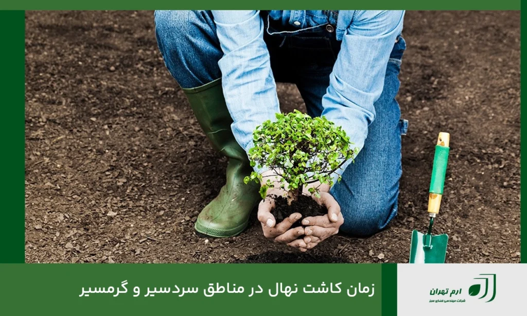 زمان کاشت نهال در مناطق سردسیر و گرمسیر