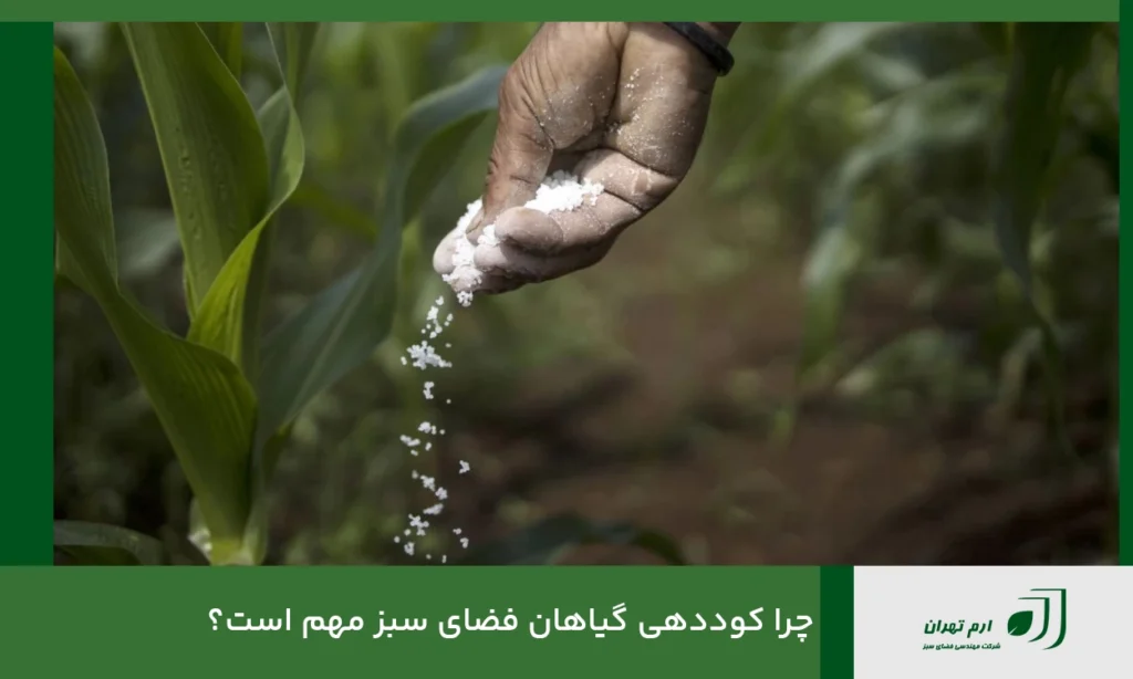 چرا کوددهی گیاهان فضای سبز مهم است؟