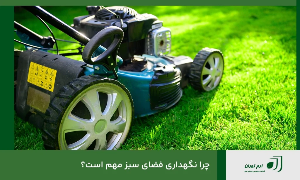 چرا نگهداری فضای سبز مهم است؟
