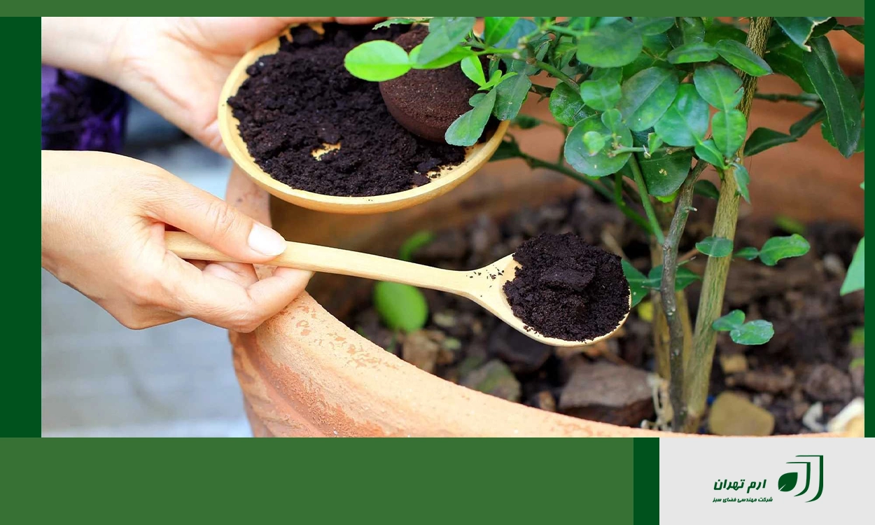 اهمیت کوددهی گیاهان فضای سبز 